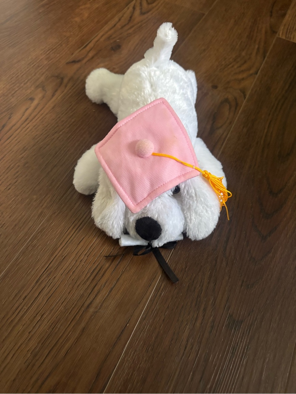 Plush White Graduation Puppy with Pink Cap